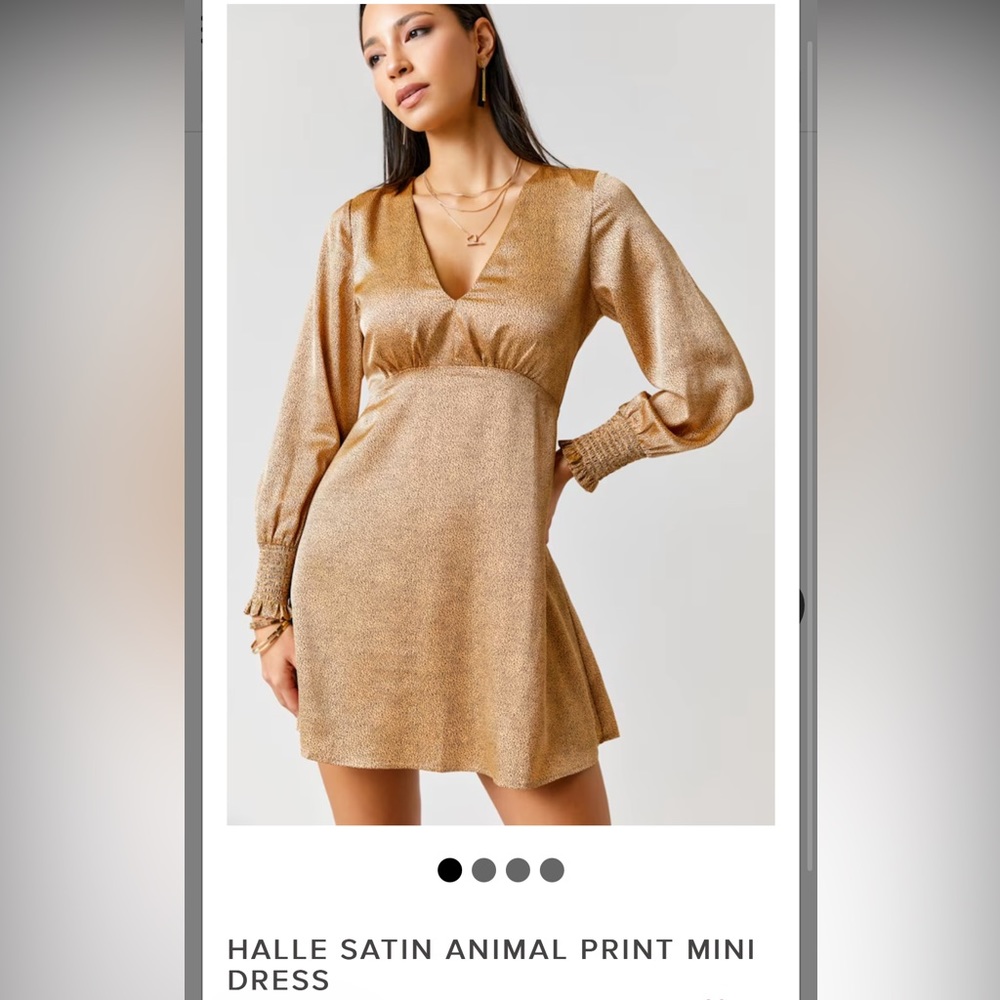 COPY - NWT Halle Satin Animal Print Mini Dress